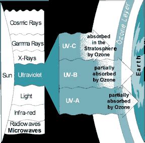 The Role of Layer